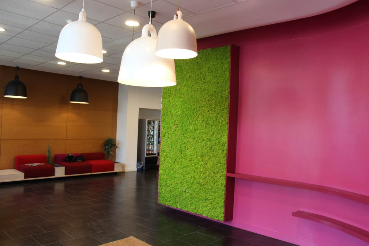 ADR Habillage Dascenceur Montreuil AMENAGEMENT VEGETAL – 11